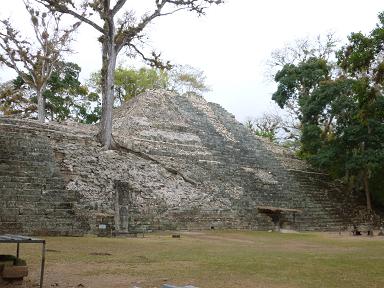 a0165963_14593029.jpg