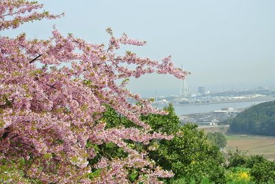 b0267163_13204941.jpg