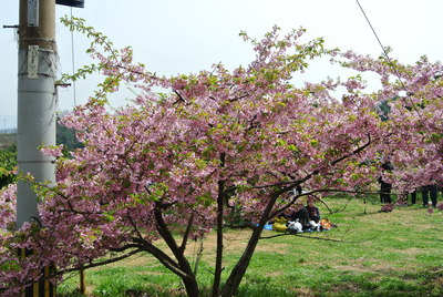 b0267163_13264463.jpg