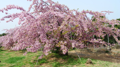 b0267163_13423678.jpg