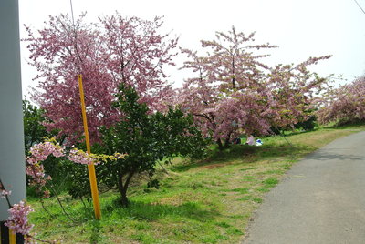b0267163_1364372.jpg