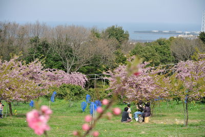 b0267163_1417245.jpg