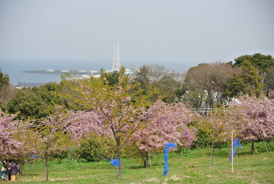b0267163_14194649.jpg