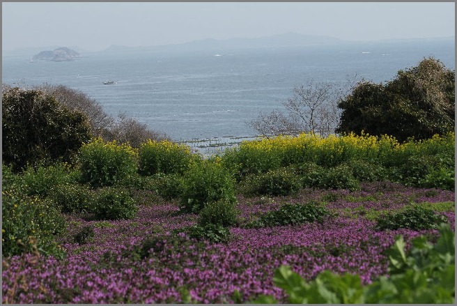 f0181173_22422852.jpg