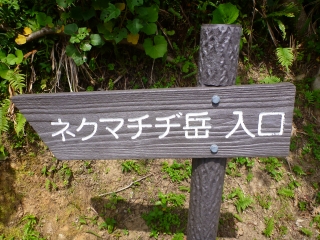 d0240983_2055980.jpg