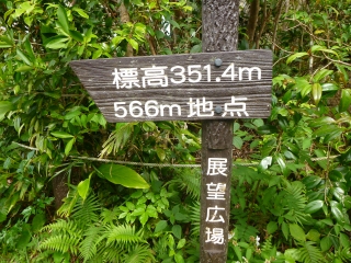 d0240983_20565412.jpg
