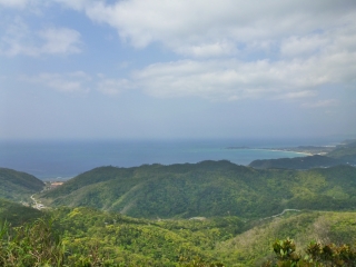 d0240983_20571721.jpg