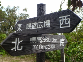 d0240983_20591332.jpg