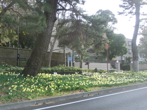 e0123587_16443388.jpg