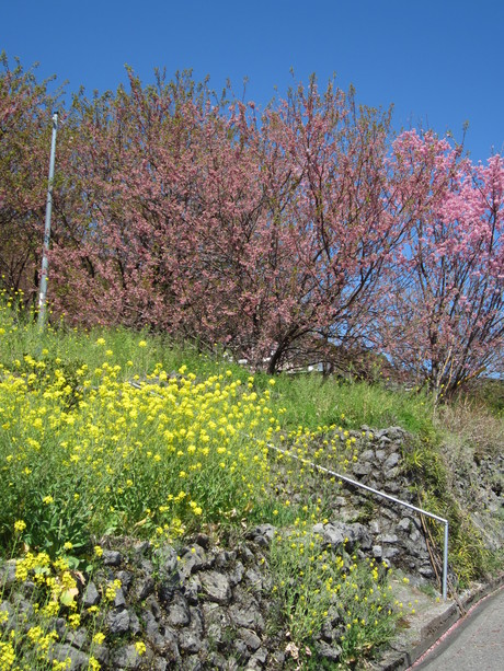 a0281590_1915119.jpg