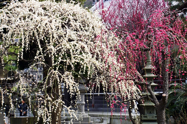 b0145398_19134554.jpg