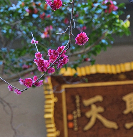 b0145398_19503984.jpg