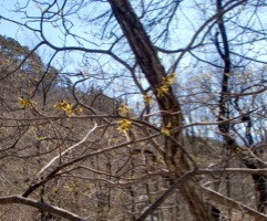c0151898_14381145.jpg