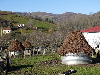 e0209900_22262070.jpg