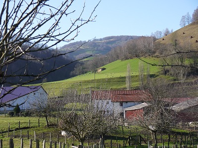 e0209900_2242051.jpg