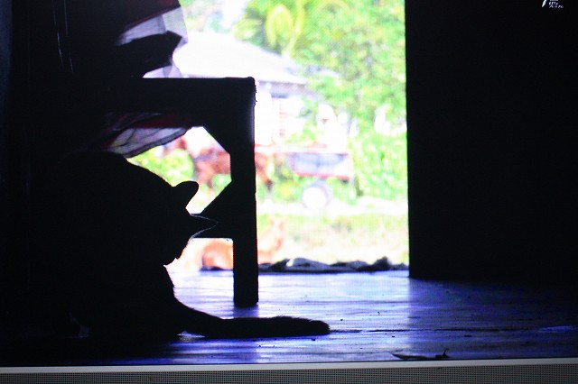 c0187403_1622738.jpg
