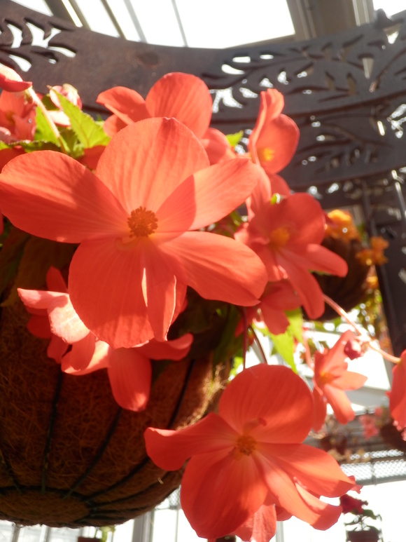 c0062511_2114979.jpg