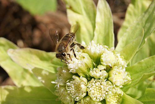 c0184125_20155062.jpg