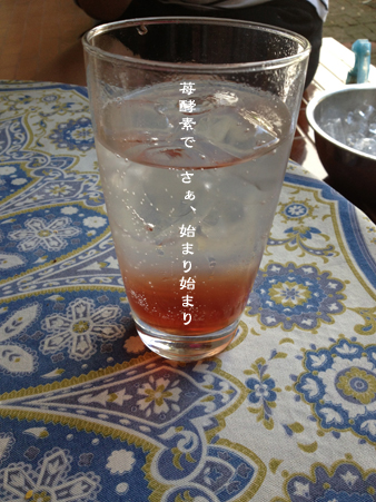 d0042827_2383579.jpg