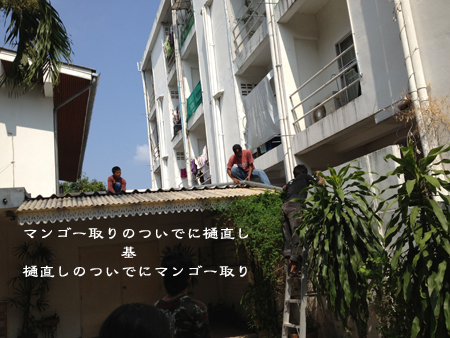 d0042827_3201570.jpg
