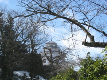 c0077338_21313018.jpg