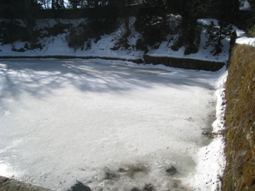 c0077338_21315368.jpg