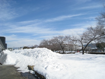 c0077338_21575634.jpg