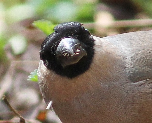 c0172139_0353717.jpg