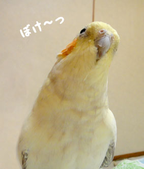 a0056140_1685760.jpg