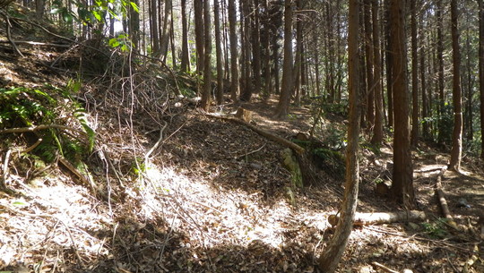 c0042847_12113599.jpg