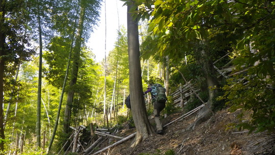 c0042847_12121344.jpg
