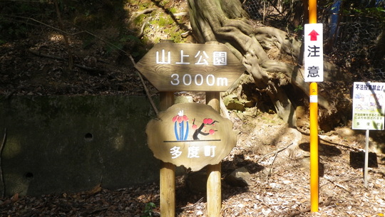 c0042847_12131270.jpg