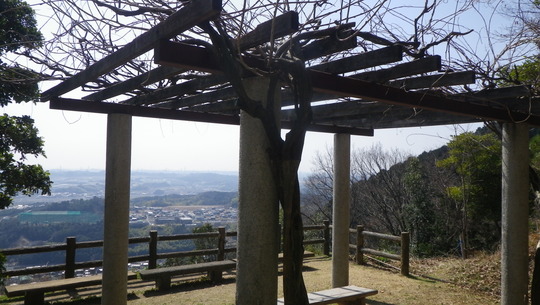c0042847_12141279.jpg