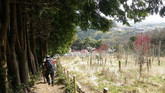 c0042847_1218515.jpg