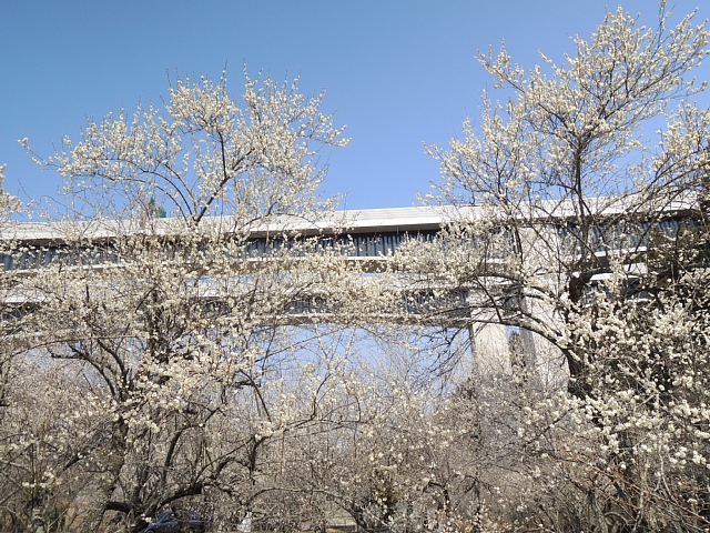 b0122448_22141698.jpg