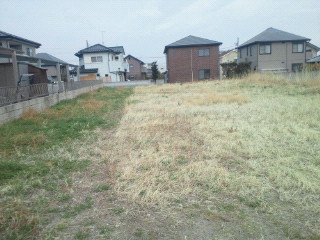 e0150849_1754353.jpg