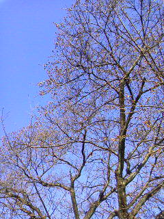 b0077451_14543456.jpg