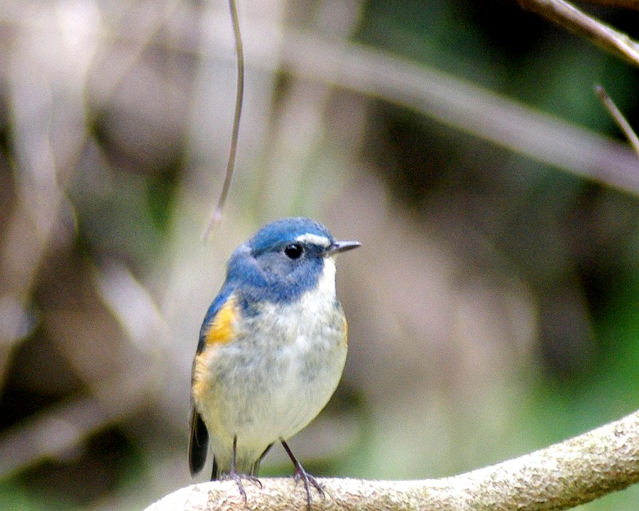 f0124451_1095120.jpg
