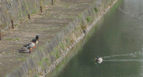 f0181251_15123910.jpg