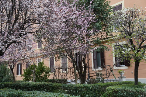 c0206352_1365766.jpg