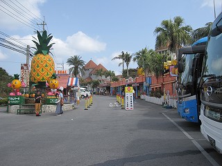 d0031853_8554276.jpg