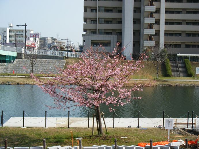 e0129656_2341974.jpg