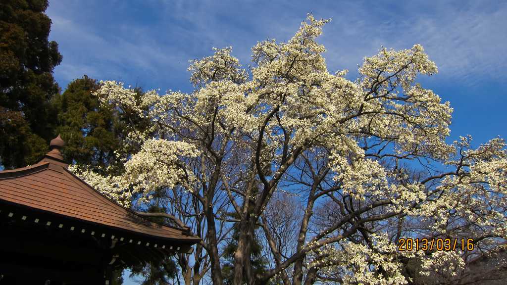 f0044056_7241983.jpg