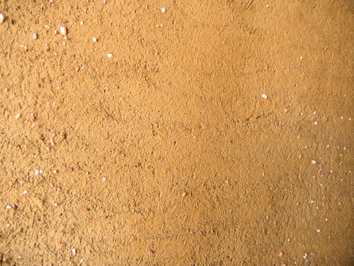 b0164959_13503159.jpg