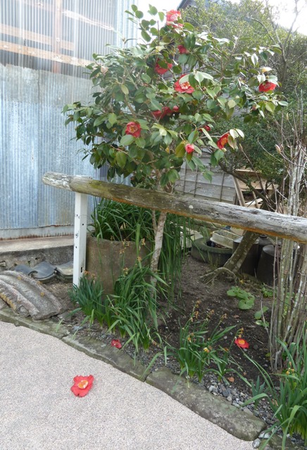 e0278968_2352179.jpg