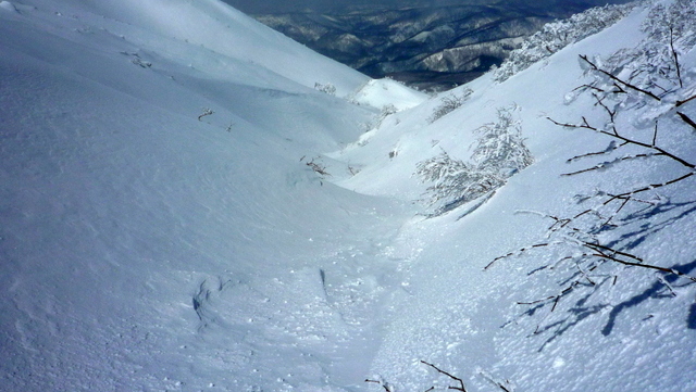 f0204469_21464714.jpg