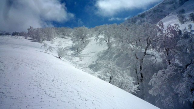 f0204469_21492695.jpg