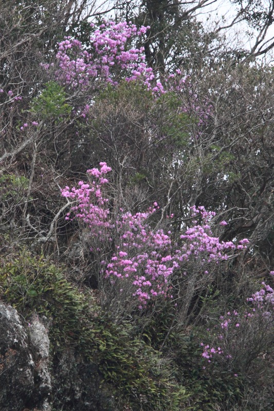 f0207669_15334966.jpg