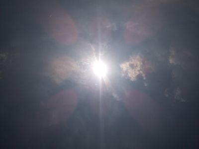 d0153971_6295142.jpg