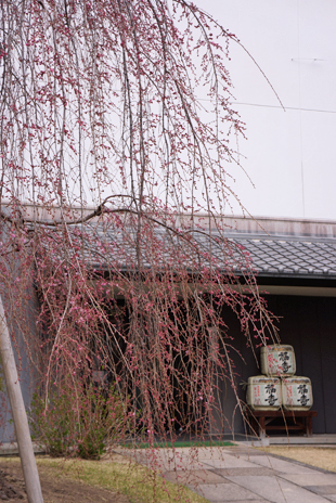 b0139477_1344423.jpg